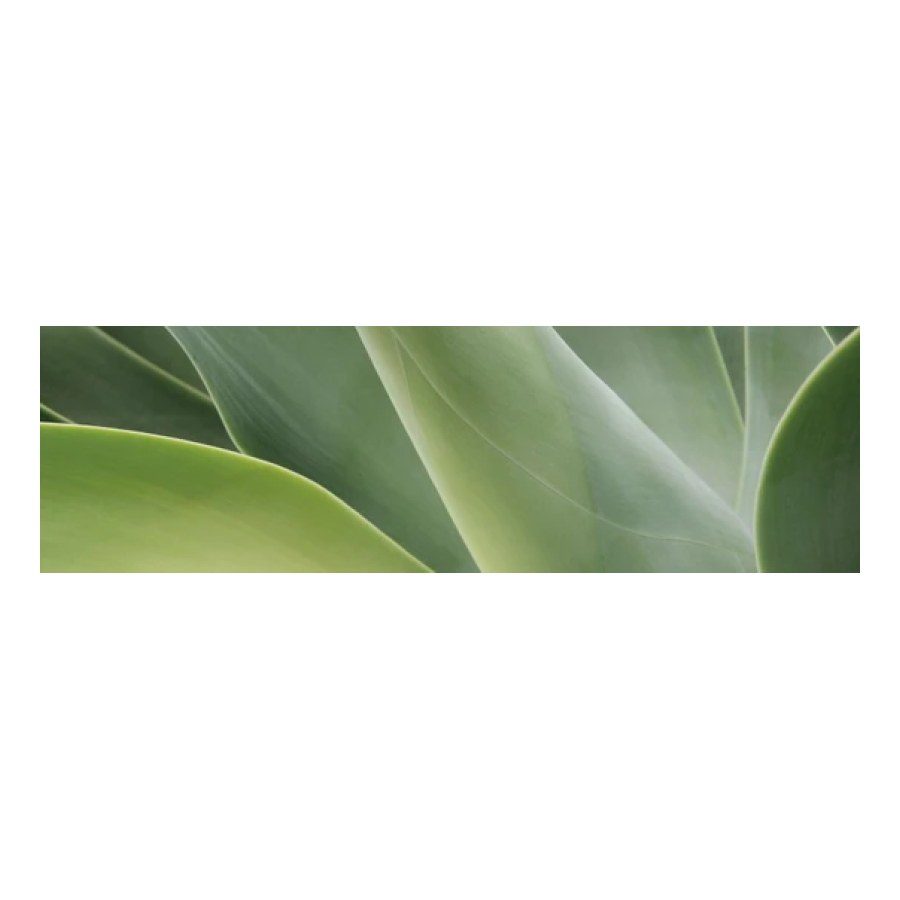 Esthevital Beauty-Nutrition &ndash; Esthevital