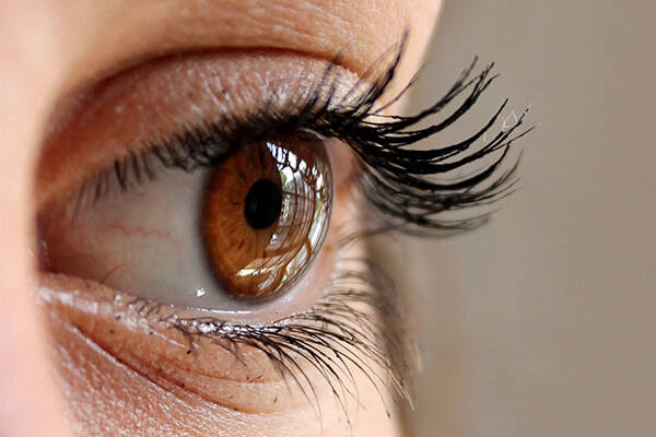 Wimpern- & Augenbrauenlifting