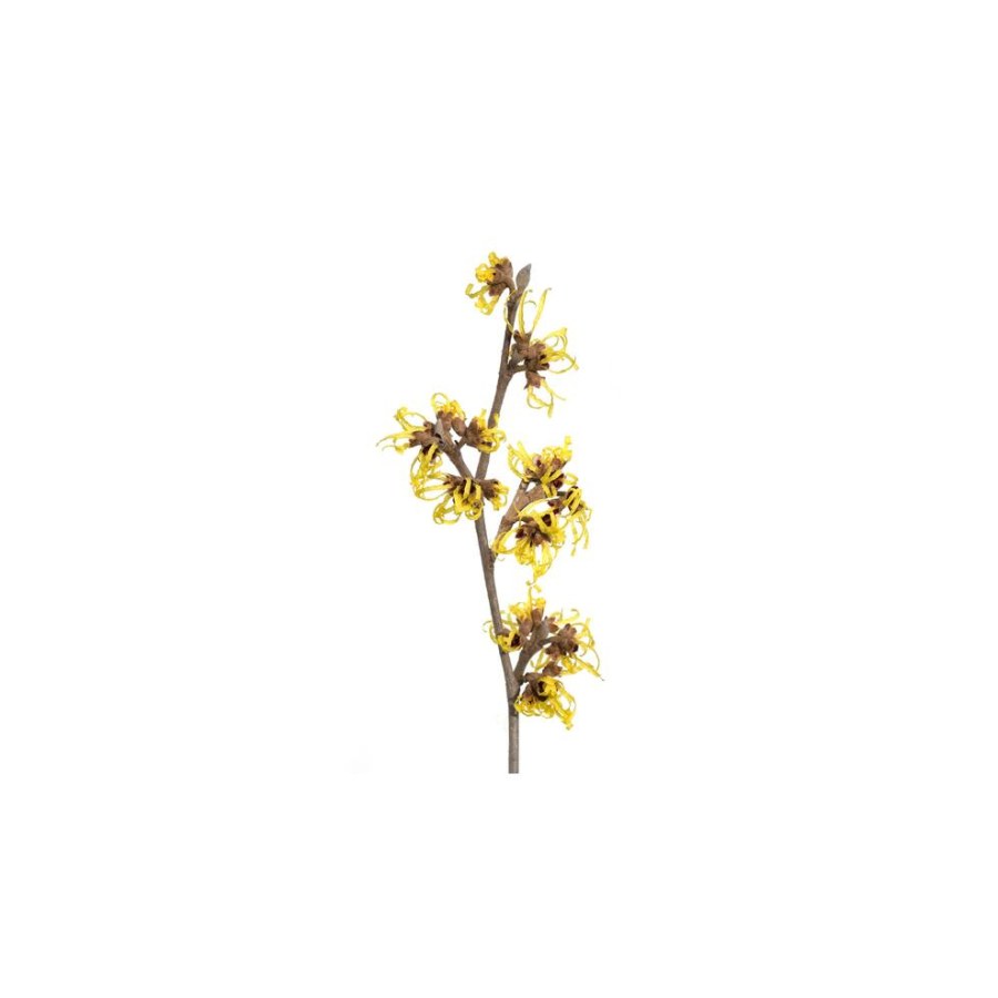 OIL CONTROL GEL 5 ml — Ansicht 3