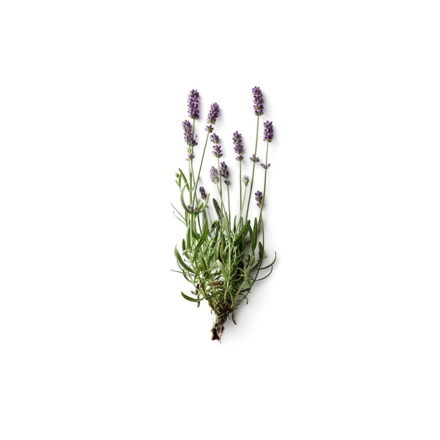 RECOVERY OIL — Ansicht 4