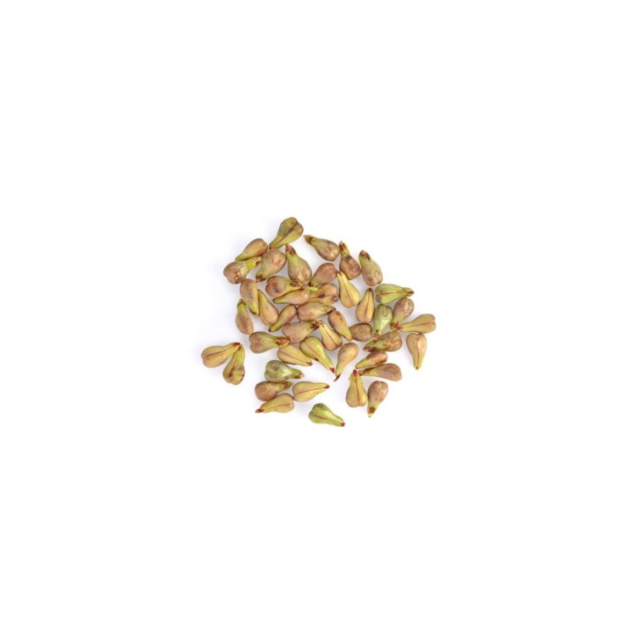 NATURAL HARMONY BB 50 ml — Ansicht 4