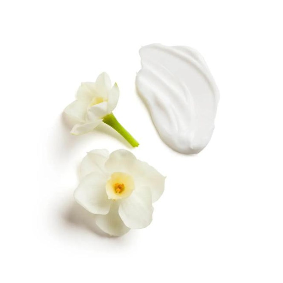 Perennial Body Lotion (EU)