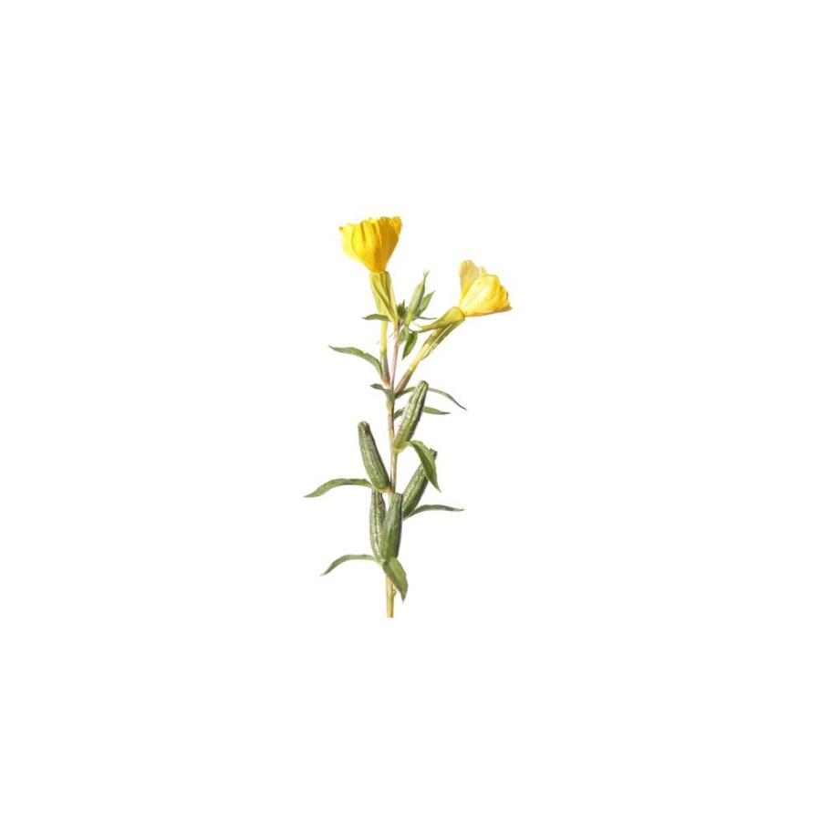 RECOVERY OIL — Ansicht 3